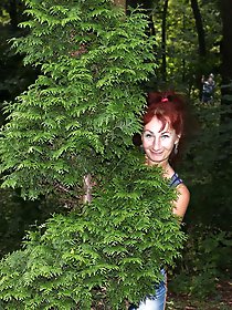 Ostankino Green Series