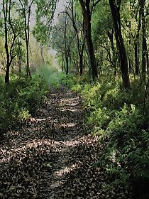 Are you fond of this attire?